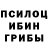 Псилоцибиновые грибы ЛСД Bergmann Rah