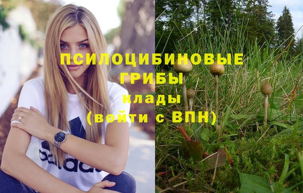 jwh Новодвинск