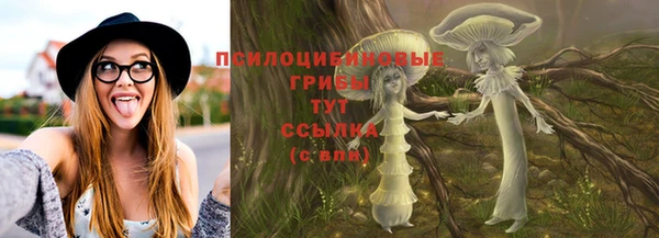 MDMA Premium VHQ Новозыбков