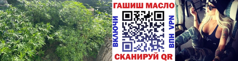 магазин продажи наркотиков  Углегорск  ТГК Wax 